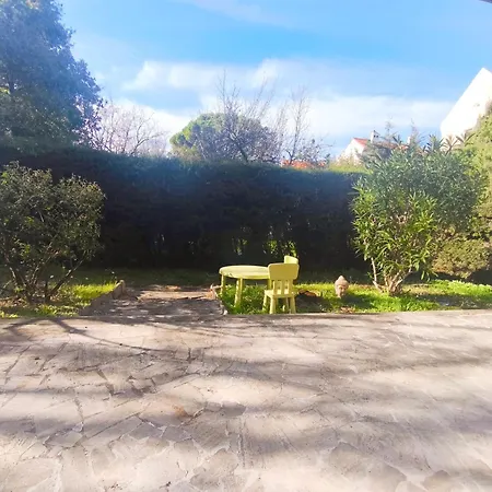 Havre De Paix A Cimiez -t4 En Rez-de-jardin Nizza