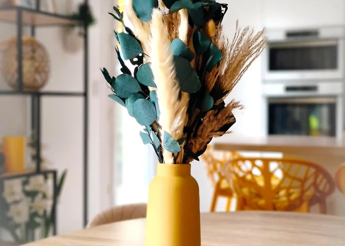 Apartman Havre De Paix A Cimiez -t4 En Rez-de-jardin Nizza