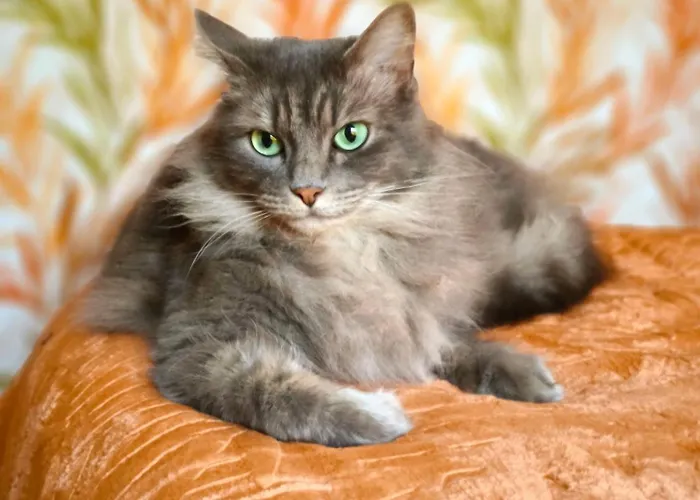 Havre De Paix A Cimiez -t4 En Rez-de-jardin Nizza